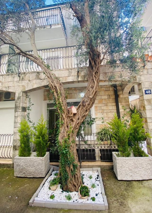 Apartment Plamenac Petrovac na moru Exterior foto